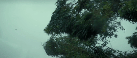 台风“摩羯”登陆现场