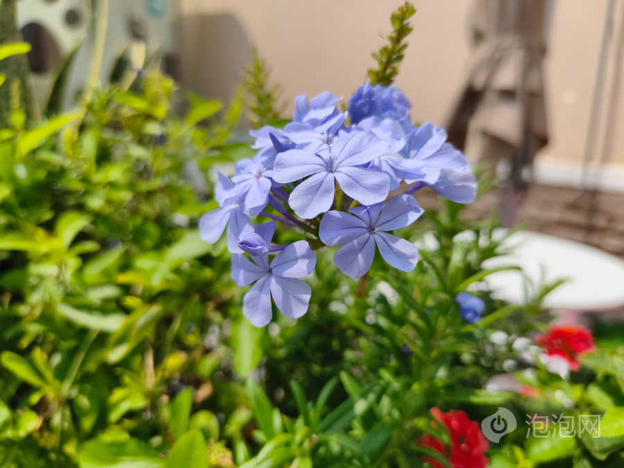 REDMI K80至尊版评测:狂暴双芯,旗舰体验全面升级