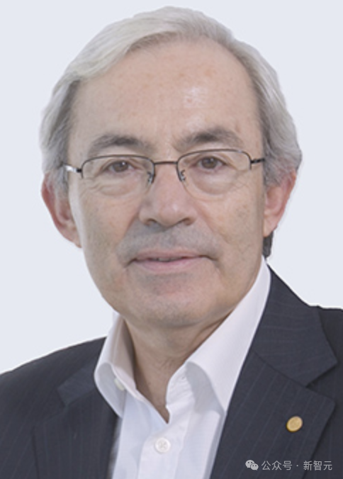 AI教父Hinton警告:有志于编程,不必读大学