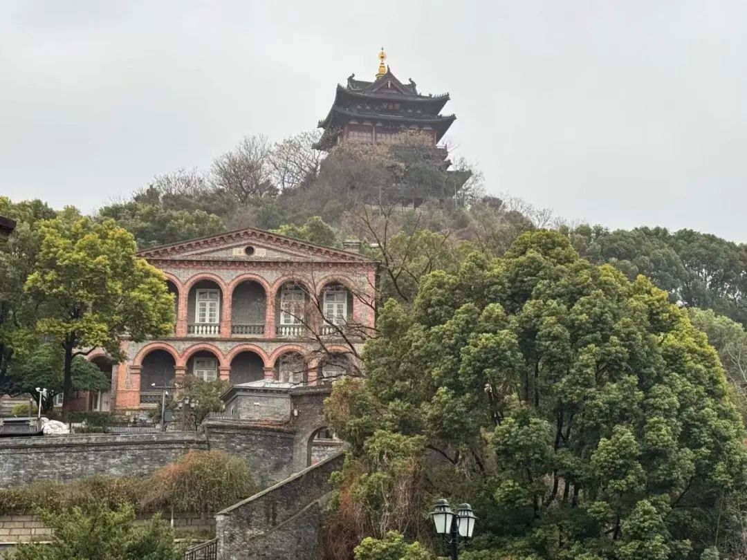 微信图片_20250310164118