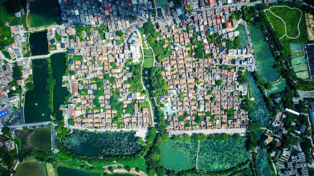 这是9月13日拍摄的塱头村(无人机照片)。