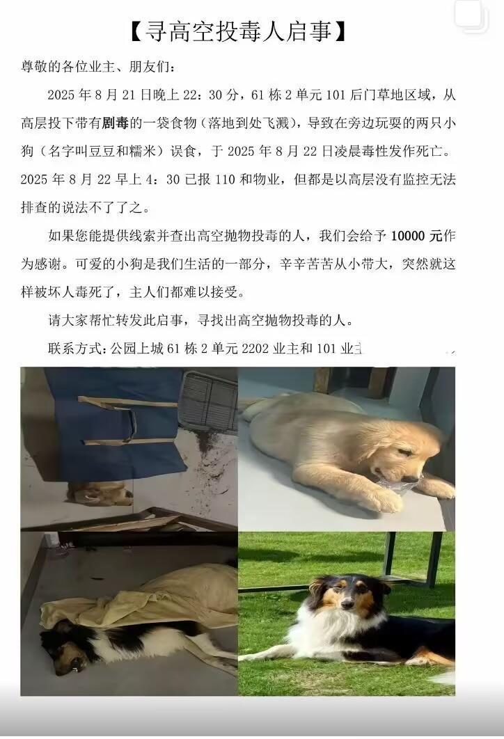 F481513FB504A40DCB08F6CB9D8E6AC6.png