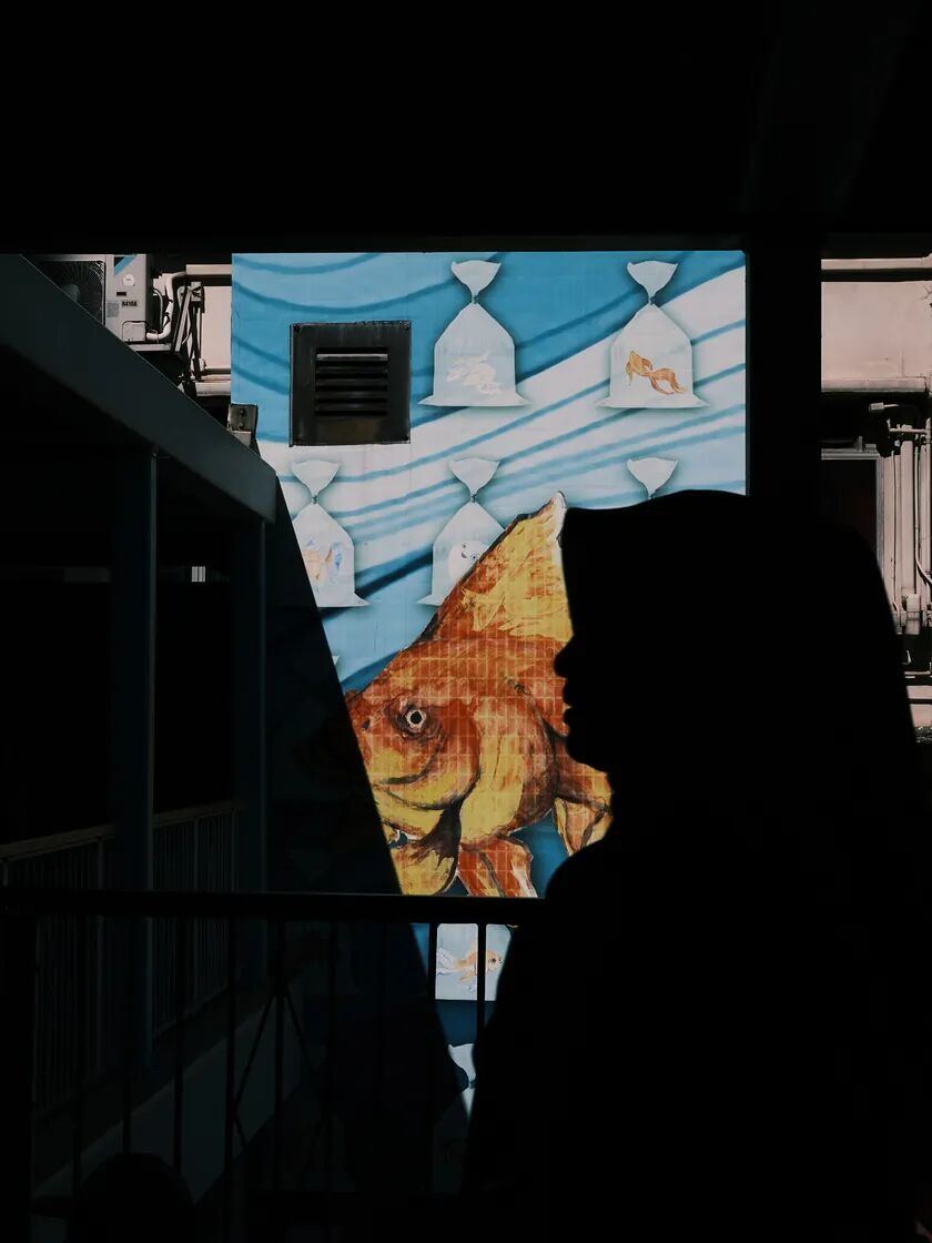 中画幅的街头革命:富士GFX100RF香港漫游