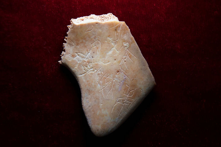 ����������ԭ��ַ����<span class=keyword><a href=https://www.baidu.com/ target=_blank>��</a></span>�̴Ǽ׹ǣ�2025��2��25���㣩���»������ ��һ�� ��