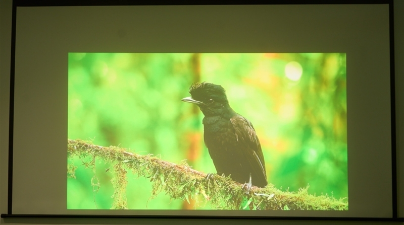 亮度不虚标的典范!哈趣H3 Ultra Max评测:2000元以内最强游戏投影仪