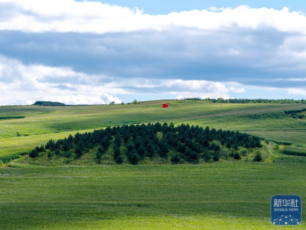 ↑这是8月23日在内蒙古呼伦贝尔市阿荣旗六合镇拍摄的“红军岗”。新华社记者 马金瑞 摄