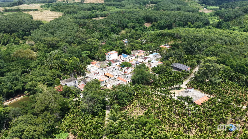 航拍白沙的乡村（央广网记者 陶淦 摄）