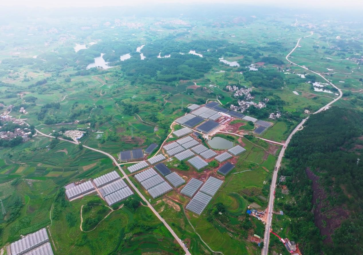 刘圩镇晟发现代设施蔬菜生产基地（央广网发 广西南宁晟发设施农业有限责任公司供图）