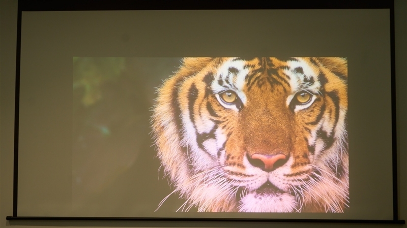 亮度不虚标的典范!哈趣H3 Ultra Max评测:2000元以内最强游戏投影仪