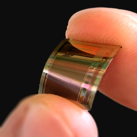 图丨BISC 芯片(来源:曾南宇)