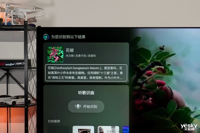 海信小墨E5Q Pro评测:AI赋能画质与体验升级,客厅秒变世俱杯赛场