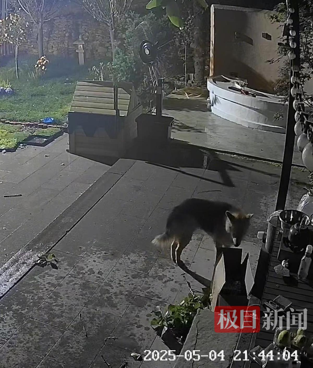 监控画面截图