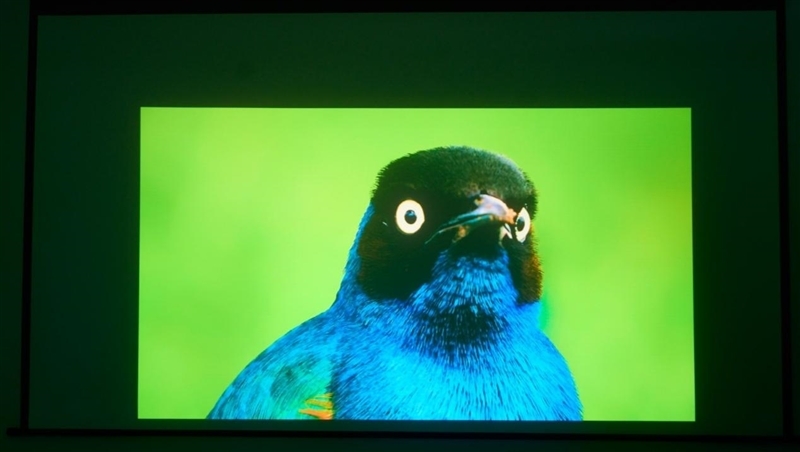 亮度不虚标的典范!哈趣H3 Ultra Max评测:2000元以内最强游戏投影仪