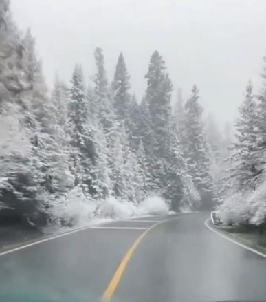 九寨沟县下雪