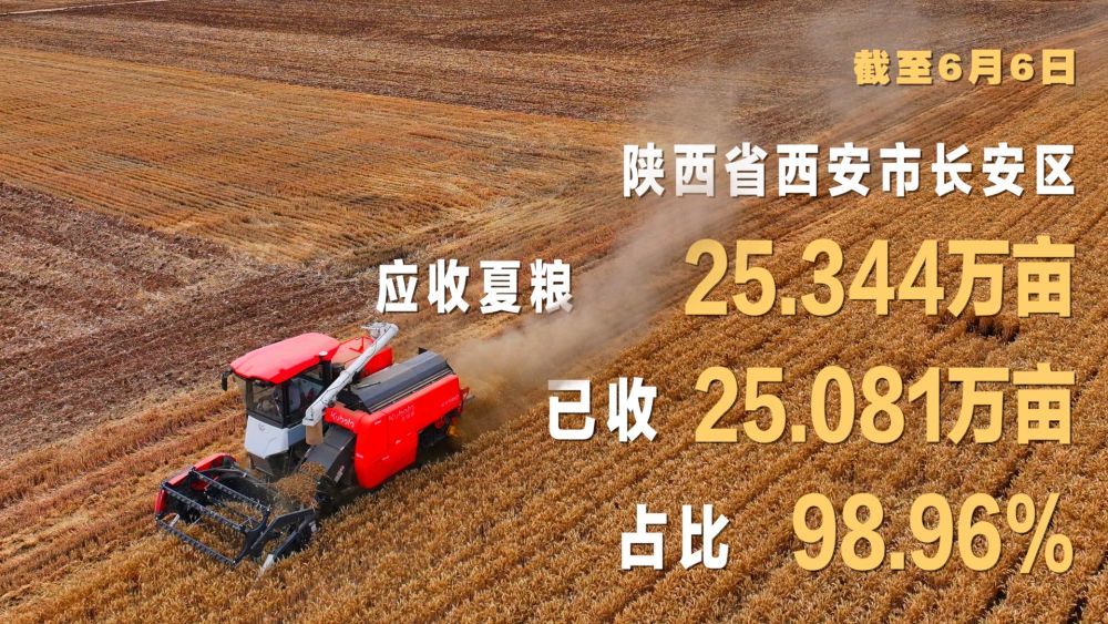 微视频｜“三夏”农忙时节 “数”看各地丰收图景