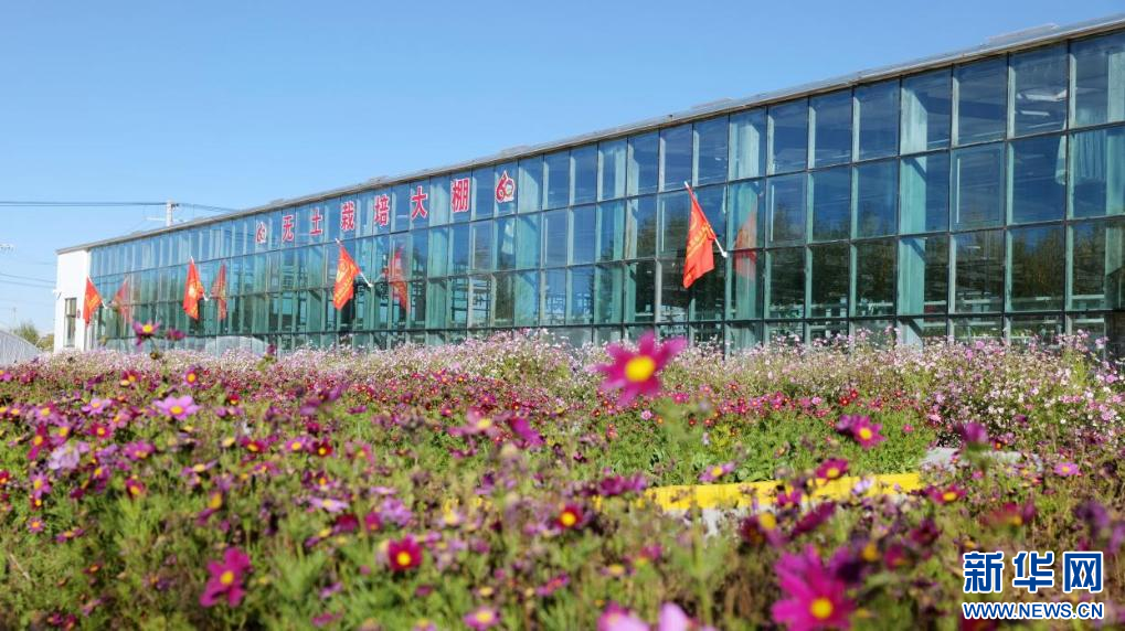 图为园内无土栽培大棚（9月26日摄）。新华网 柑丹鸯琦摄