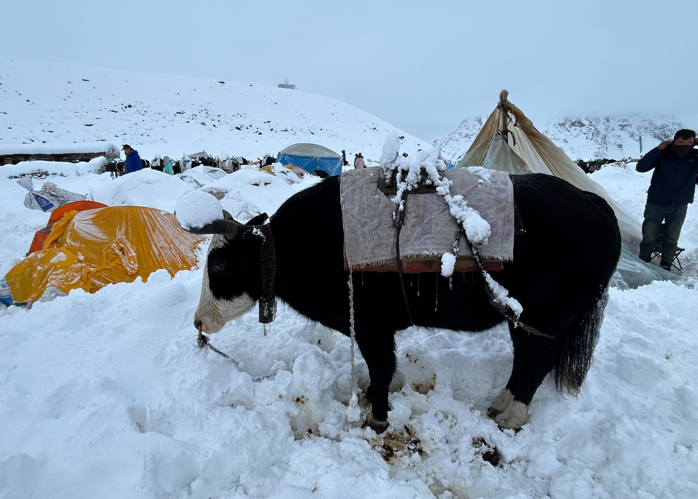 帐篷等均被厚雪覆盖 小鸣供图