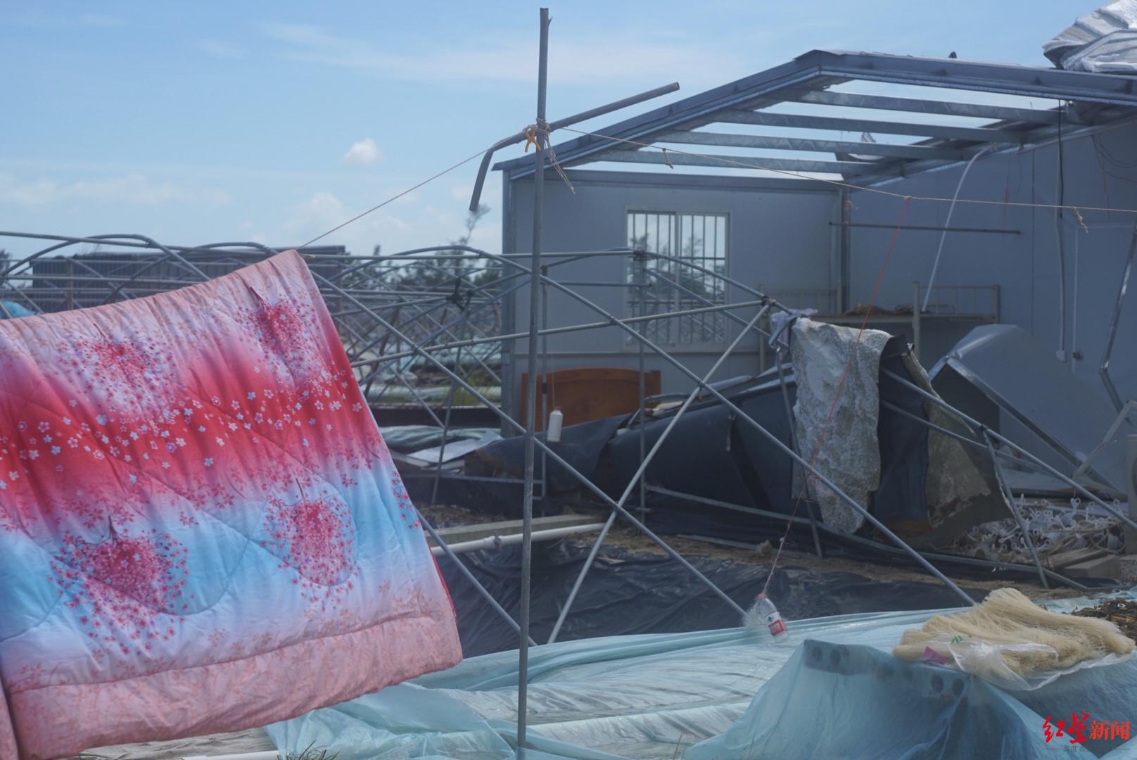 ▲9月26日，埠场镇，养殖户的大棚和住所被掀翻还没来得及收拾，他们搭起简易晾被架