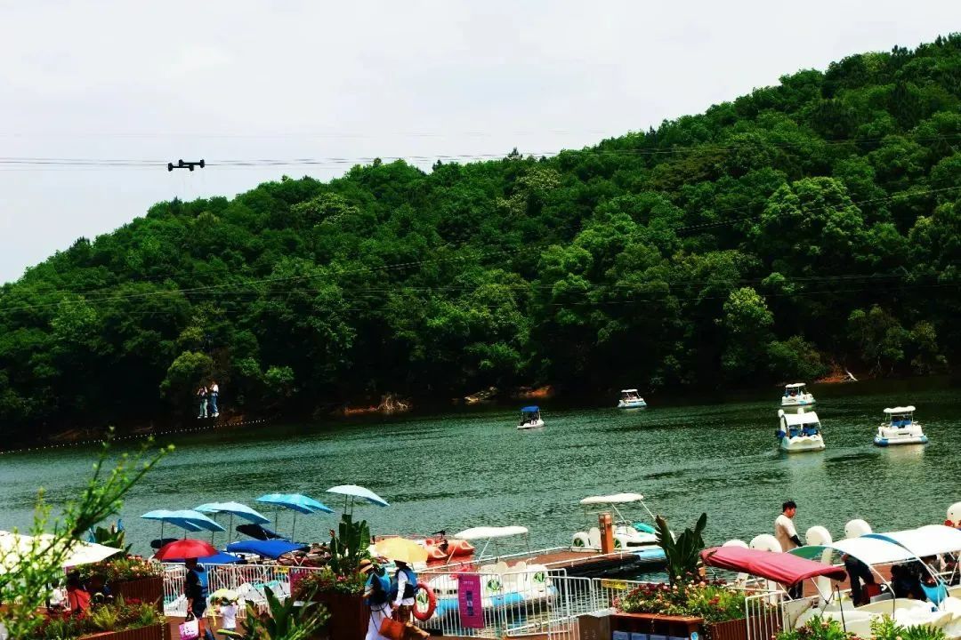 （图片来源：江西仙女湖）