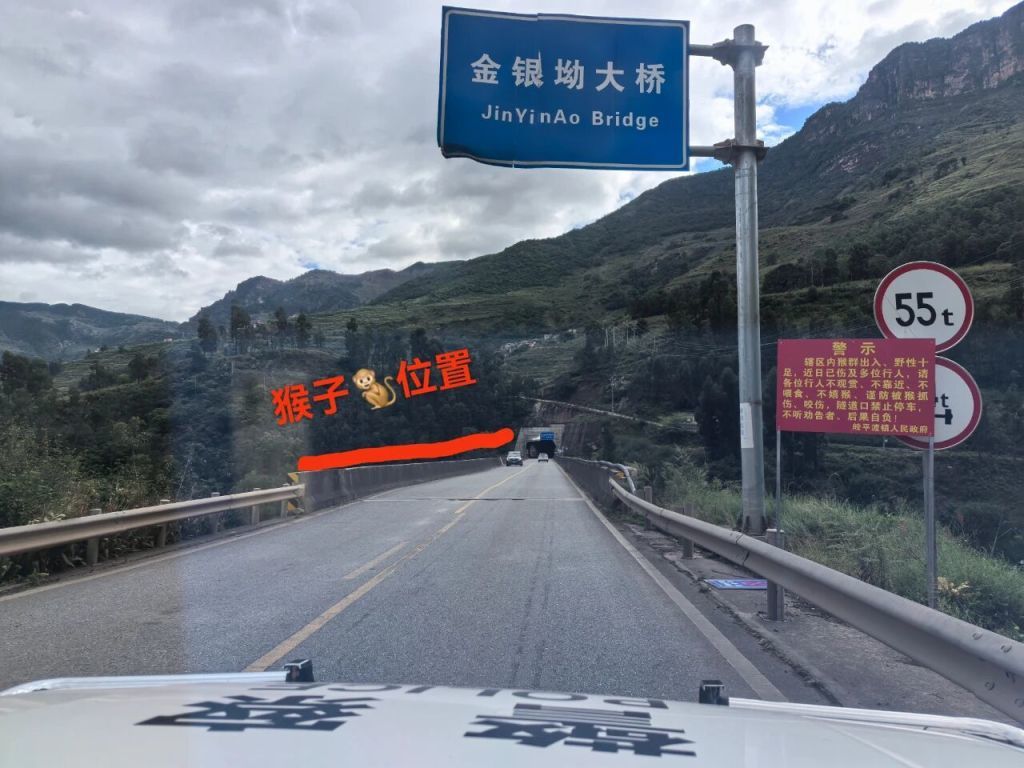 男子路边停车休息遭野猴入车袭击，警方：勿违规停车，勿投喂