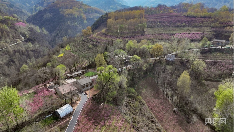 柏油路通向半山腰的民宿(央广网记者 侯凯奇 摄)