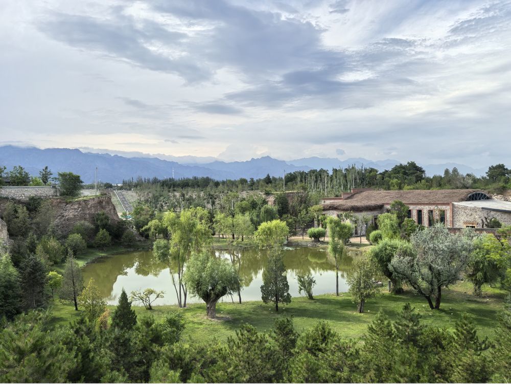 宁夏银川市西夏区镇北堡镇源石酒庄经过修复的废弃矿坑，如今满目新绿（2025年7月8日摄）。新华社记者 马丽娟 摄