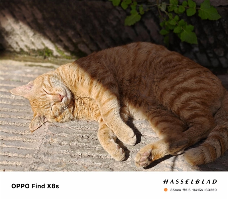 重新定义小屏旗舰!OPPO Find X8s评测:续航拍照再无后顾之忧