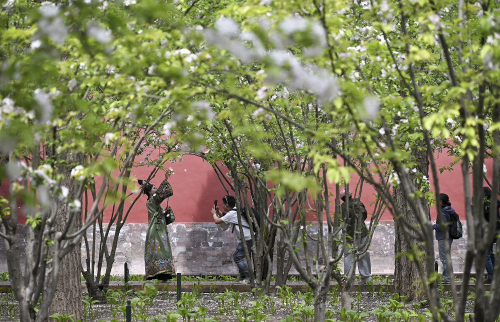 2025年/文华殿/摄影:金良快