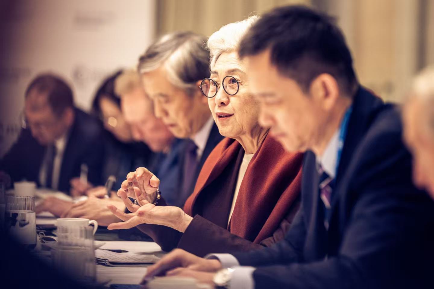 傅莹在第61届慕尼黑安全会议现场