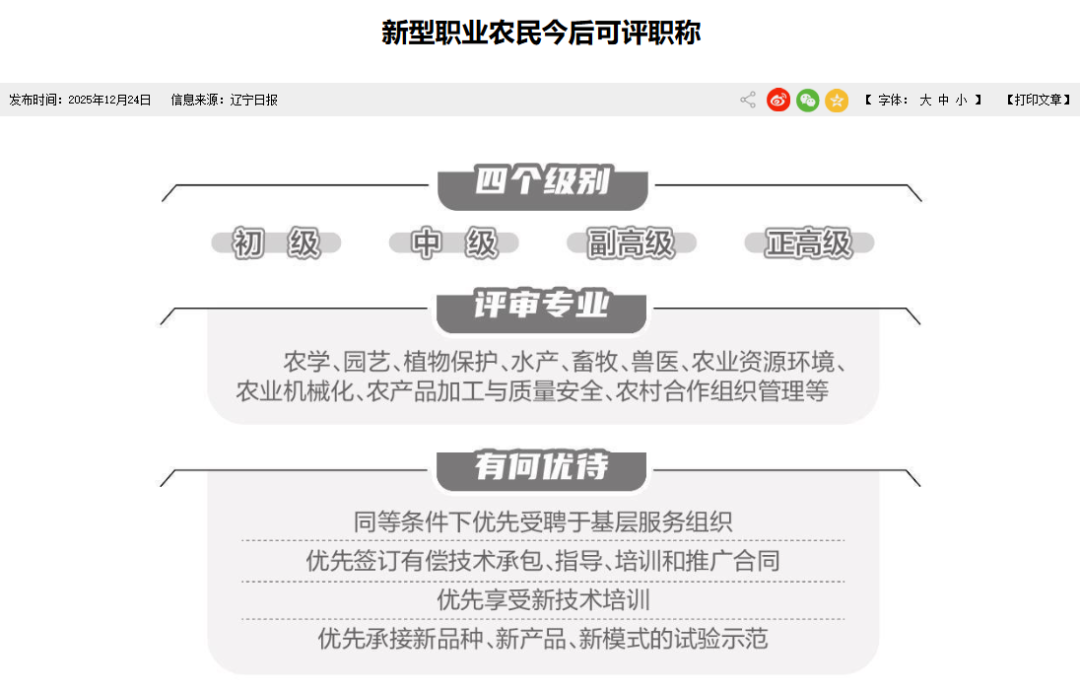 图片来源:辽宁省人民政府官网截图