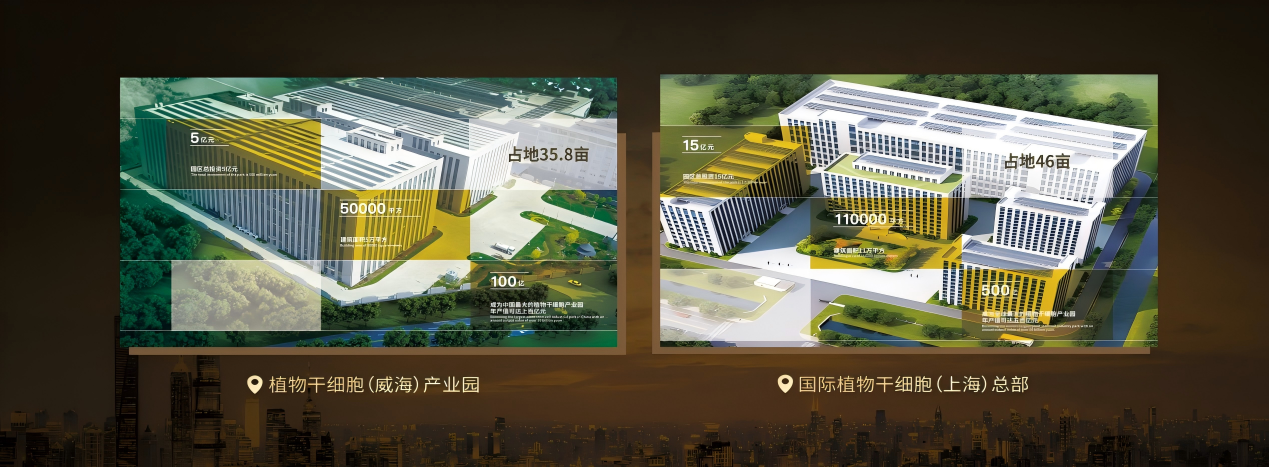 WPS图片(1)10.png