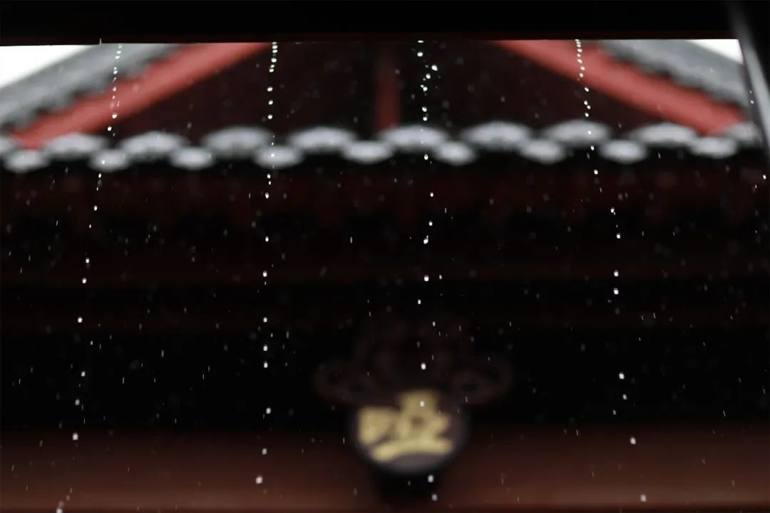 ▲梵雨(摄影:张洪铭)