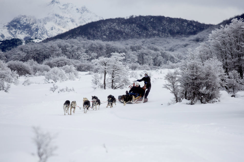 2018年7月8日，在阿根廷火地岛首府乌斯怀亚，游客体验狗拉雪橇。在南美大陆最南端的乌斯怀亚距南极洲只有800公里。新华社发（马丁·萨巴拉摄）