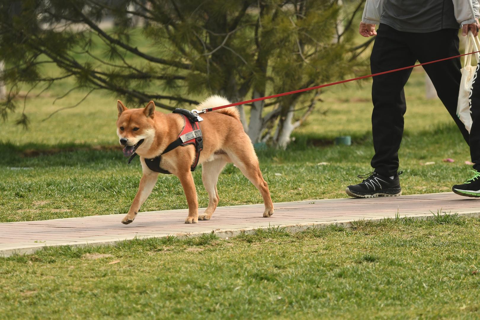 ▲创意配图 图据视觉中国