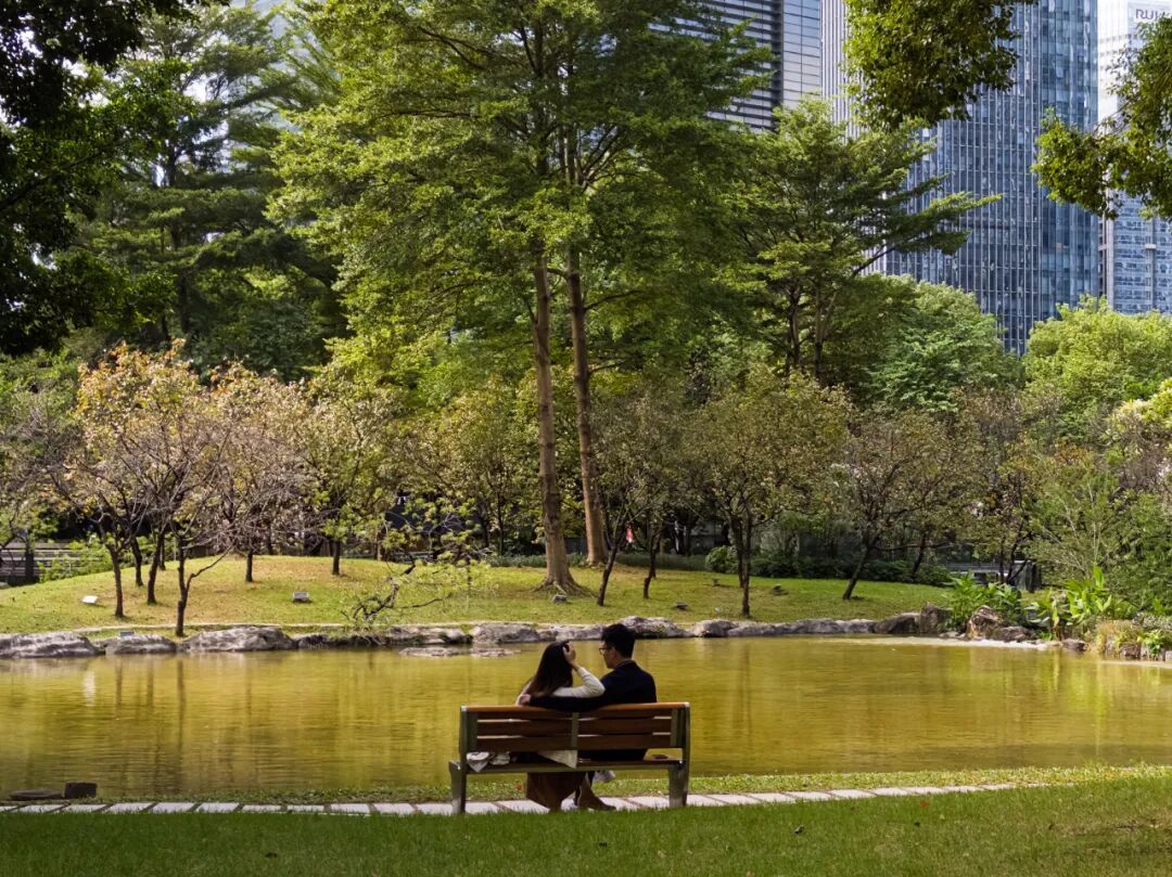 iPhone Air + Indigo:单摄手机迎来文艺复兴