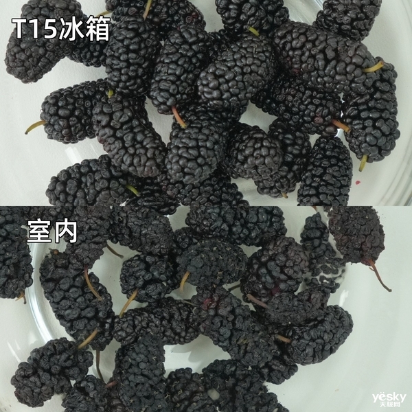 TCL冰麒麟深冷冰箱T15评测:-40℃深冷锁鲜+真双系统,重塑保鲜新高度