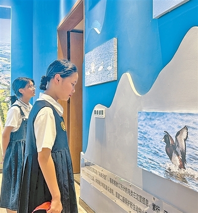 我国再添四处世界灌溉工程遗产(新时代画卷)