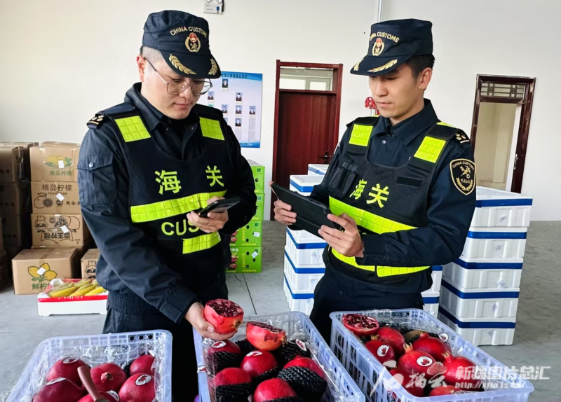 3月15日,，霍爾果斯海關(guān)關(guān)員對(duì)出口果蔬進(jìn)行查驗(yàn),。劉興陽(yáng) 攝