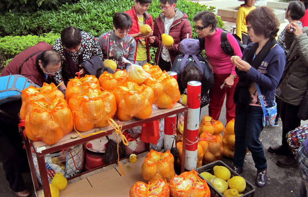 2012年12月29日,游客在广东省梅州市选购柚子。