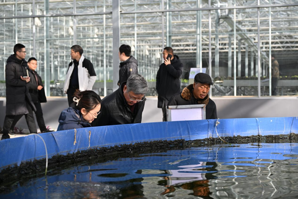 专家学者在离石王营庄。新华网 发