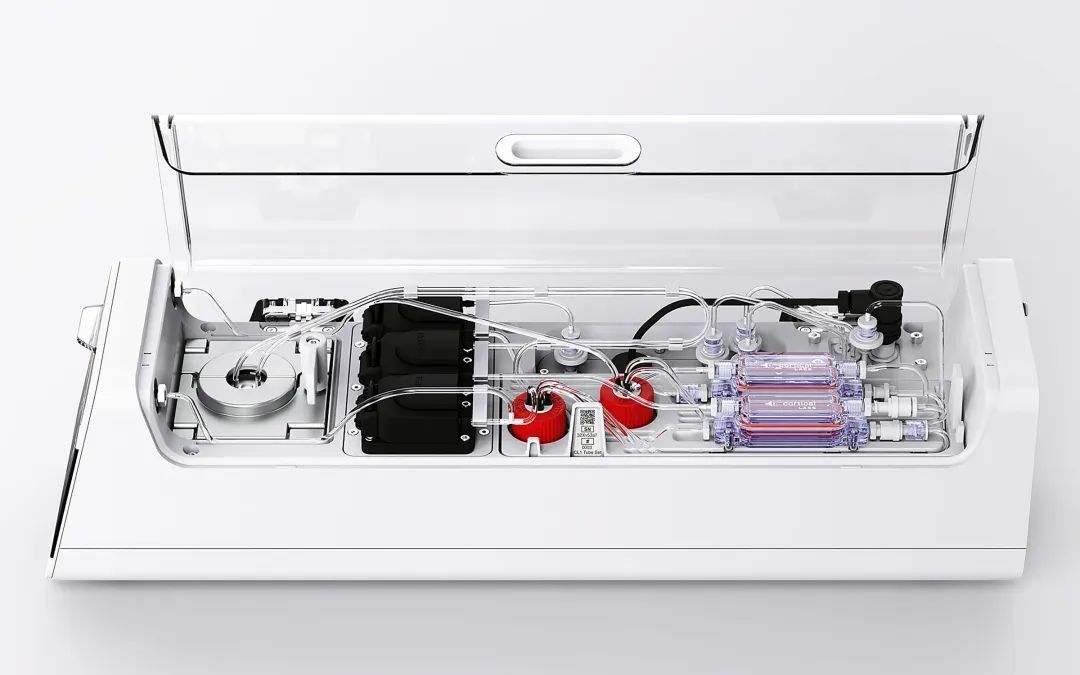 20万一台的“人脑计算机”,可能是人类战胜AI的唯一方式?