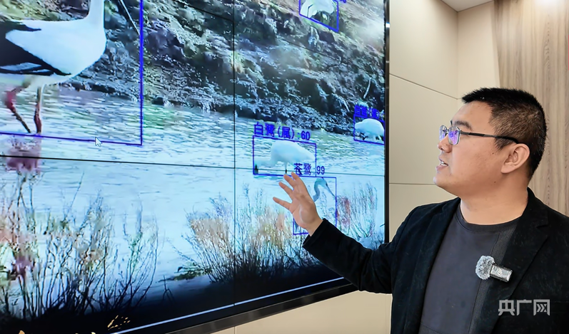 对鸟类进行智能化监测(央广网见习记者 张润 摄)