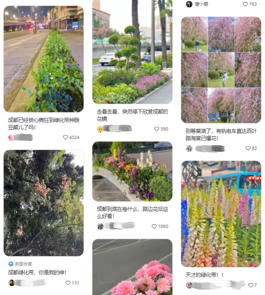 成都的绿化带已是Next Level。（图/小红书）