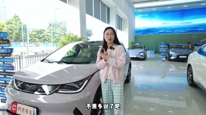 探店海豚智驾版，全系标配高阶智驾，10万预算没理由不选？