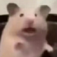 74bef93190cf66996667b6eff45d33c.png
