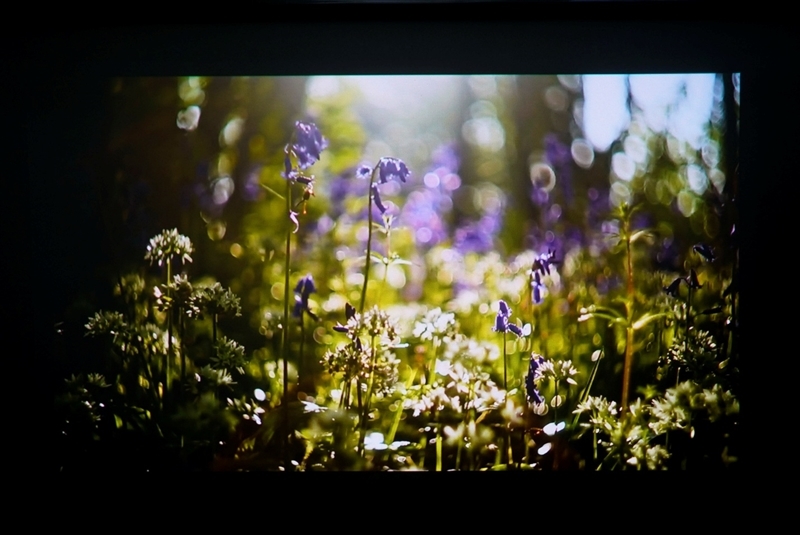 三色激光画质惊人!当贝D7X激光投影仪评测:三千元不到就能体验旗舰技术