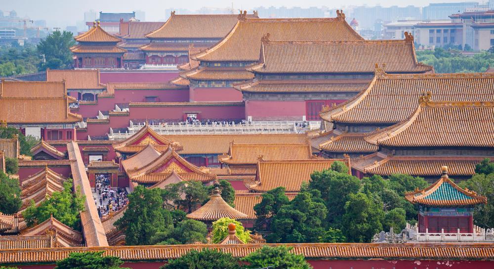 2024年/摄影:陈晔华