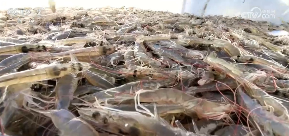 A9482967EF47018BF4FE7EFCEB2B2A3FE22CD56A_size121_w1000_h473