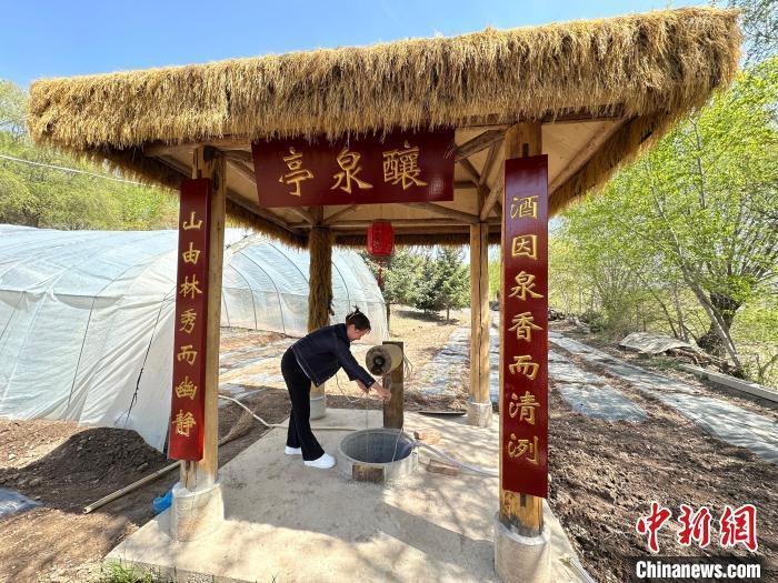 图为4月底，刘燕在自家“庭院式”生态酿酒作坊里抽取酿酒所用的井水。冯志军　摄