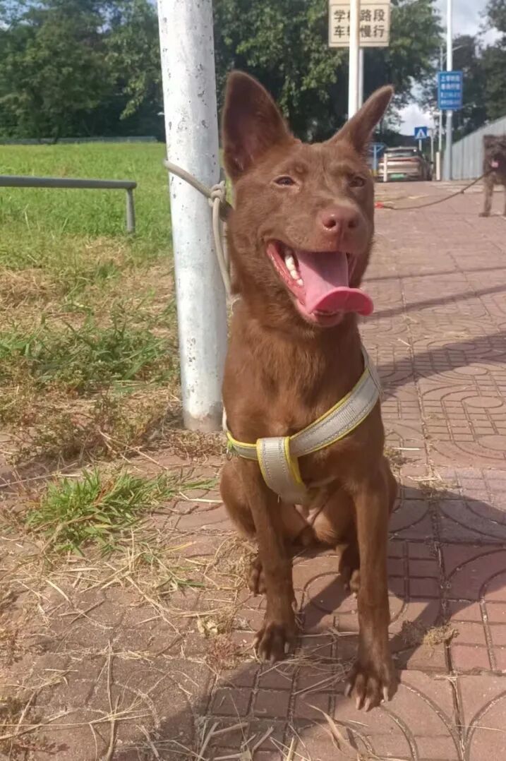 向左滑动,查看更多